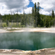 Image for article titled Some advice: Do not cook chickens in national park hot springs